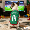 Mexico 14 - Home